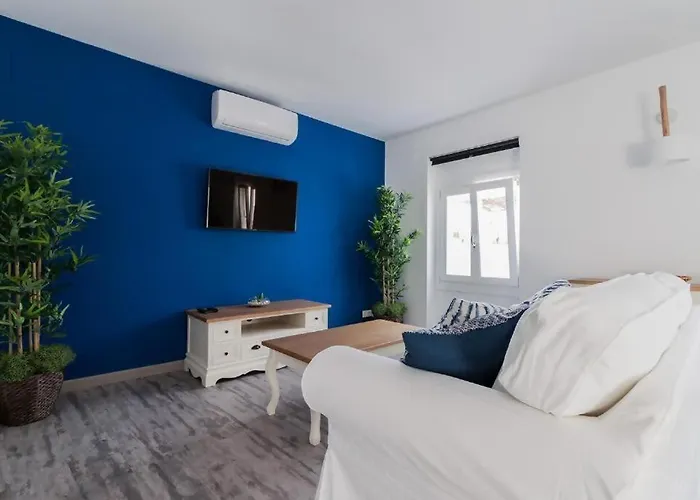 Sh Loft De Sopranis *