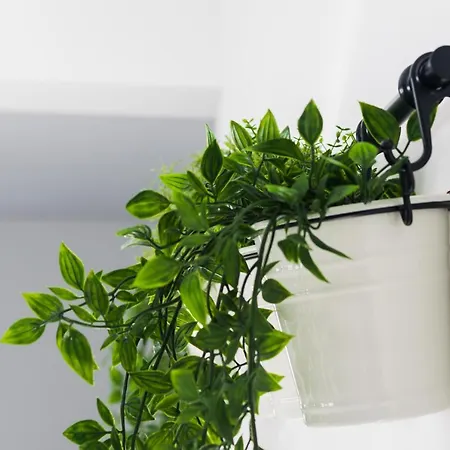 Loft Sopranis Grupo Ac Gestion * Cadice